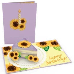 Lovepop Value Packs|Birthday|Beautiful Birthday and Everyday Garden 12-Pack