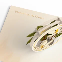 Lovepop Value Packs|Just Because|Beautiful Botanicals Box Set (Assorted 12-Pack): Paperpop® Card