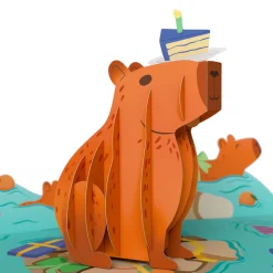 Lovepop Value Packs|Birthday|Birthday Animals 3-Pack
