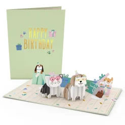 Kids Lovepop Greeting Cards|Birthday|Birthday Cats and Dogs Pop-Up Card