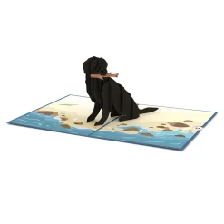 Lovepop Greeting Cards|Just Because|Black Lab Pop-Up Card
