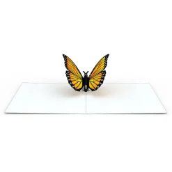 Kids Lovepop Notecards|Get Well|Butterfly Notecards (Assorted 4-Pack)