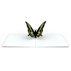 Kids Lovepop Notecards|Get Well|Butterfly Notecards (Assorted 4-Pack)