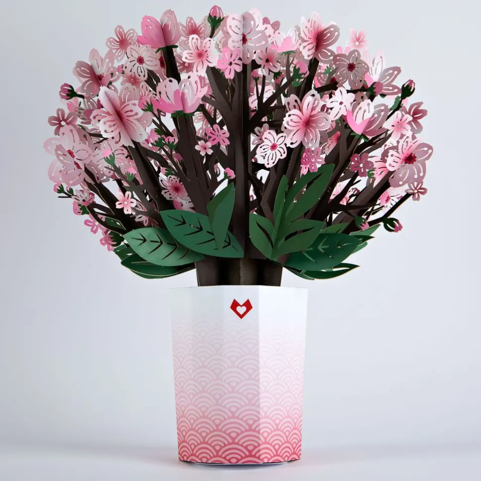Lovepop Pop-Up Bouquets|Card & Gift Bundles|Cherry Blossom & Lily Bloom Bundle