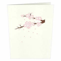 Lovepop Notecards|Just Because|Cherry Blossom Notecards (4-Pack)