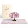 Women Lovepop Greeting Cards|Birthday|Cherry Blossom Pop-Up Card