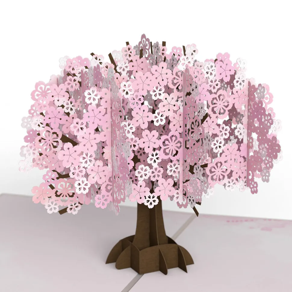 Women Lovepop Greeting Cards|Birthday|Cherry Blossom Pop-Up Card