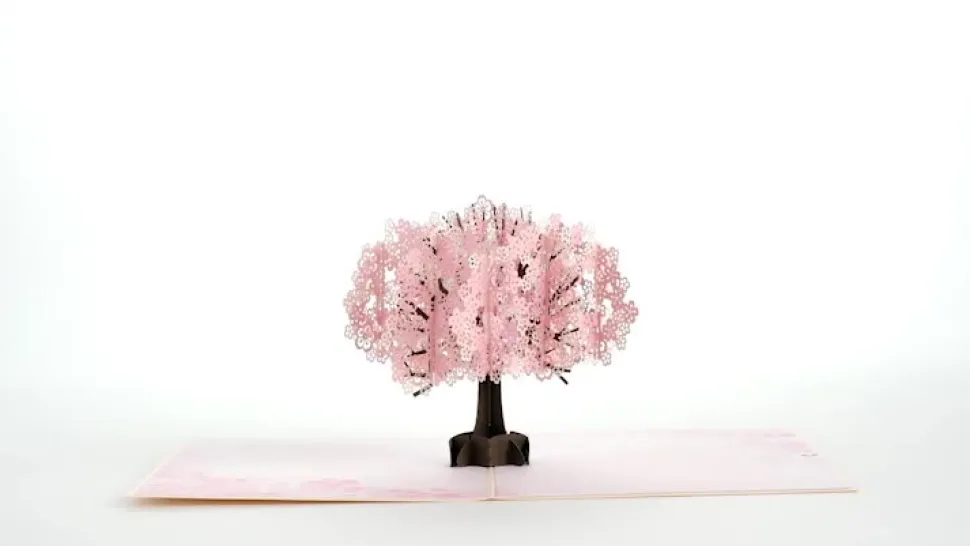 Women Lovepop Greeting Cards|Birthday|Cherry Blossom Pop-Up Card
