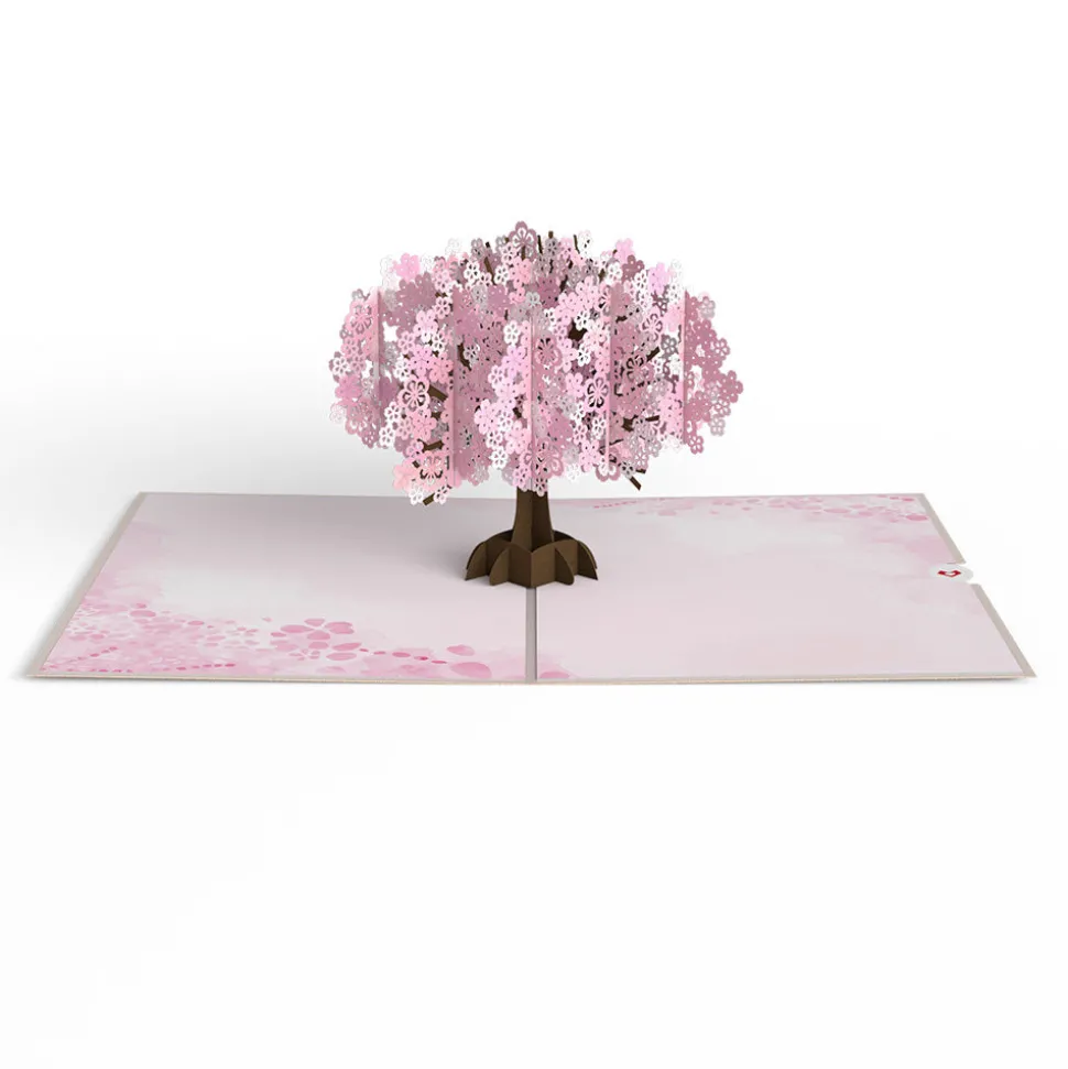 Women Lovepop Greeting Cards|Birthday|Cherry Blossom Pop-Up Card