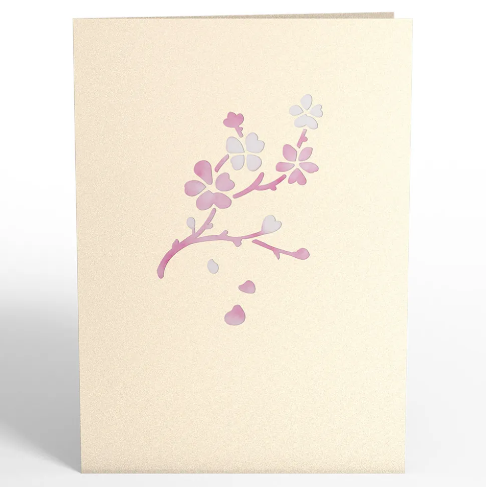 Women Lovepop Greeting Cards|Birthday|Cherry Blossom Pop-Up Card