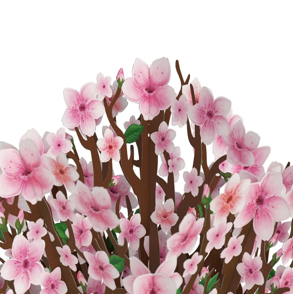 Lovepop Pop-Up Bouquets|Cherry Blossom 50th Birthday Bouquet and Sentiment Set