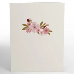 Lovepop Value Packs|Thank You|Cherry Blossom Thank You Box Set (12-Pack): Paperpop® Card
