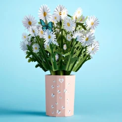 Lovepop Pop-Up Bouquets|Anniversary|Daisy Bouquet
