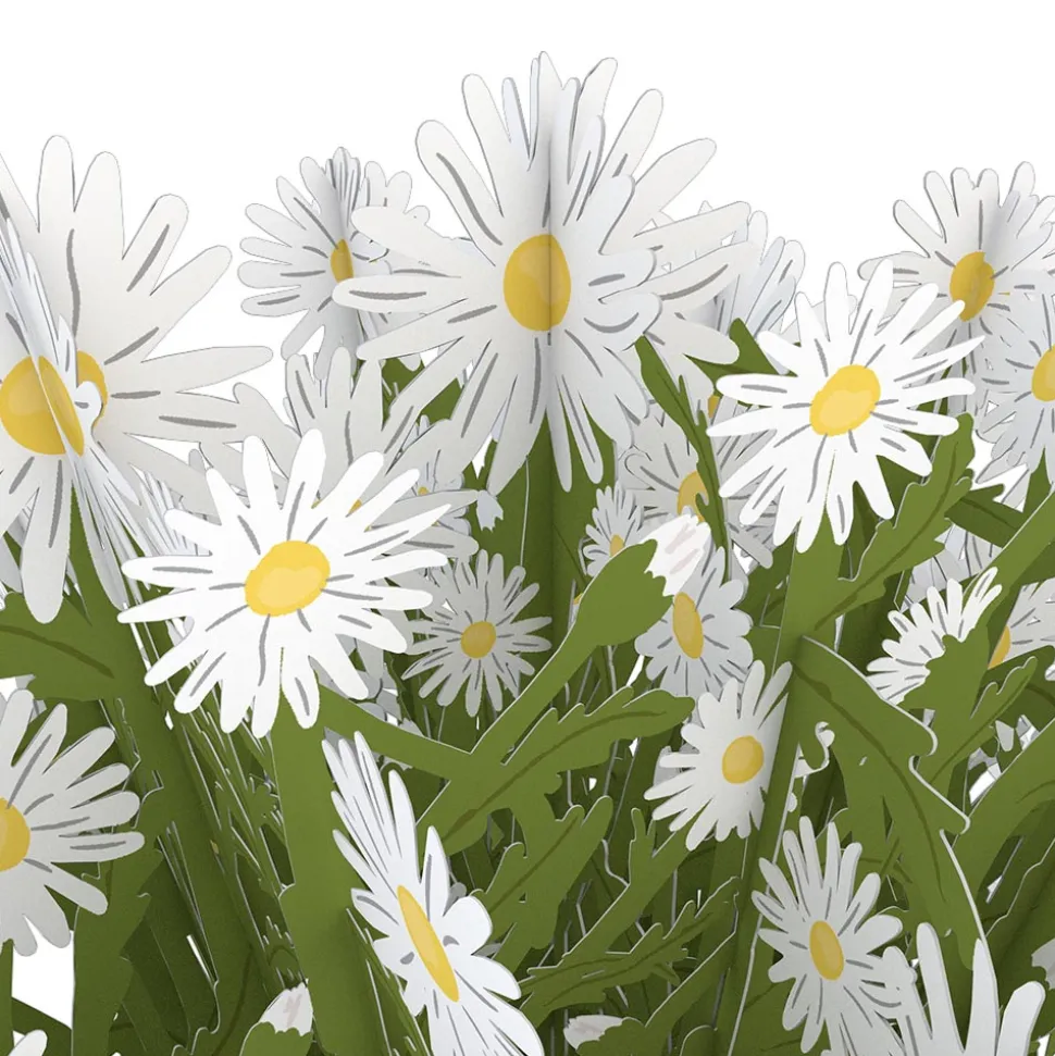 Lovepop Pop-Up Bouquets|Anniversary|Daisy Bouquet