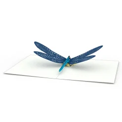 Lovepop Notecards|Just Because|Dragonfly Notecards (4-Pack)