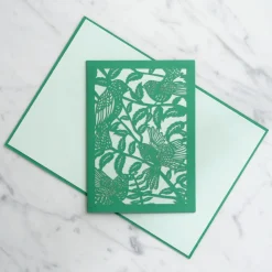 Lovepop Value Packs|Notecards|Everyday Garden Pack (Assorted 12-Pack): Moments™ Card