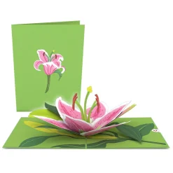 Lovepop Value Packs|Just Because|Floral 7-Pack