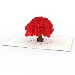 Lovepop Notecards|Congratulations|Garden Notecards (Assorted 4-Pack)