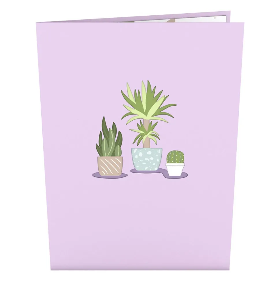 Lovepop Card & Gift Bundles|Birthday|Greenhouse Plant Bundle