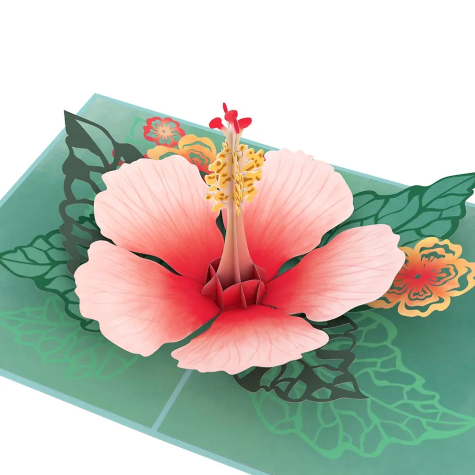 Women Lovepop Greeting Cards|Birthday|Hibiscus Bloom Pop-Up Card