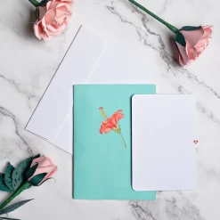 Women Lovepop Greeting Cards|Birthday|Hibiscus Bloom Pop-Up Card