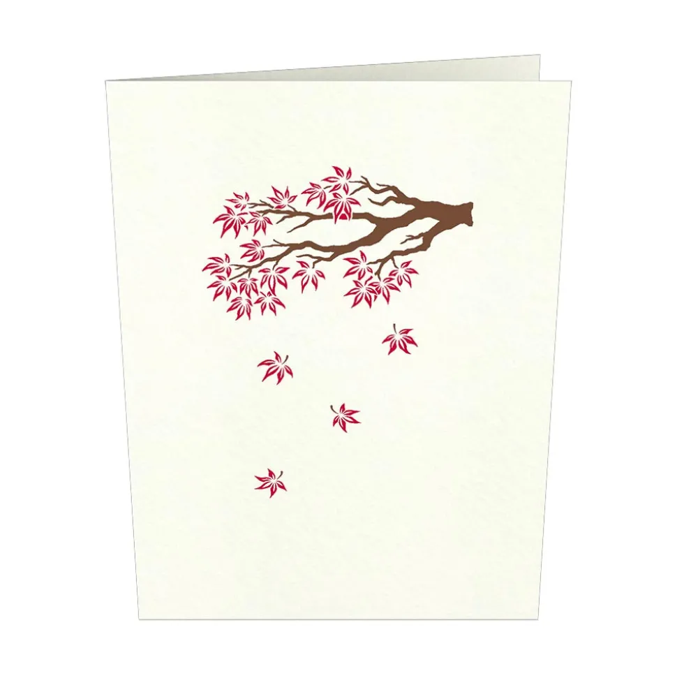 Lovepop Notecards|Just Because|Japanese Maple Notecards (4-Pack)