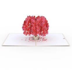 Lovepop Value Packs|Valentine'S Day 2/14|Love-Filled Valentine’s Day 3-Pack