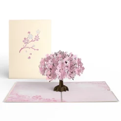 Lovepop Value Packs|Just Because|Lovely Blooms 3-Pack