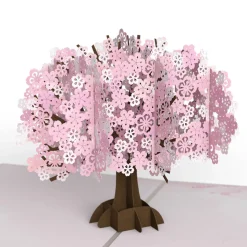 Lovepop Value Packs|Just Because|Lovely Blooms 3-Pack
