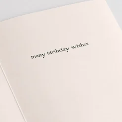 Lovepop Value Packs|Birthday|Press™ Birthday Collection 16-Pack