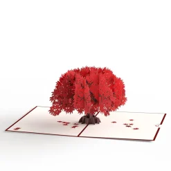 Lovepop Greeting Cards|Just Because|Majestic Japanese Maple Pop-Up Card