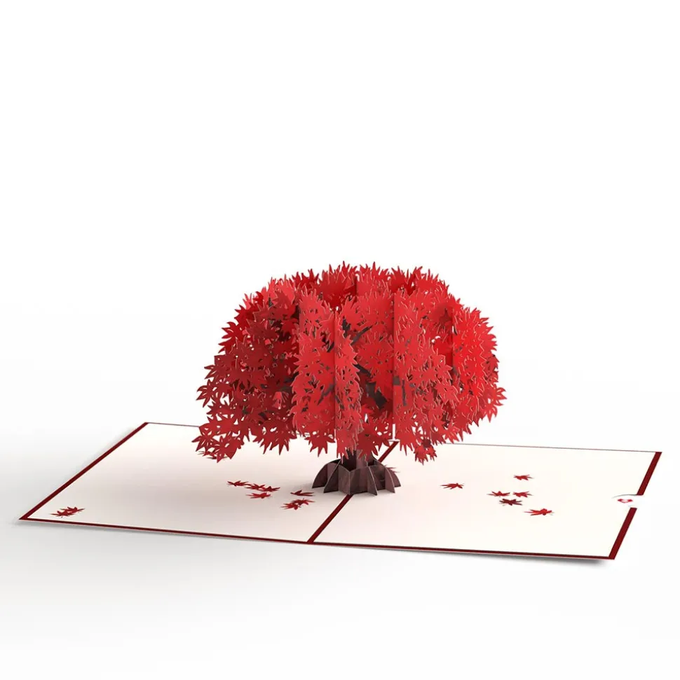 Lovepop Greeting Cards|Just Because|Majestic Japanese Maple Pop-Up Card