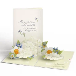 Lovepop Greeting Cards|Sympathy|May You Find Peace and Comfort Sympathy Pop-Up Card