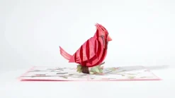 Lovepop Greeting Cards|Mother'S Day 5/11|Mother's Day Cardinal Pop-Up Card