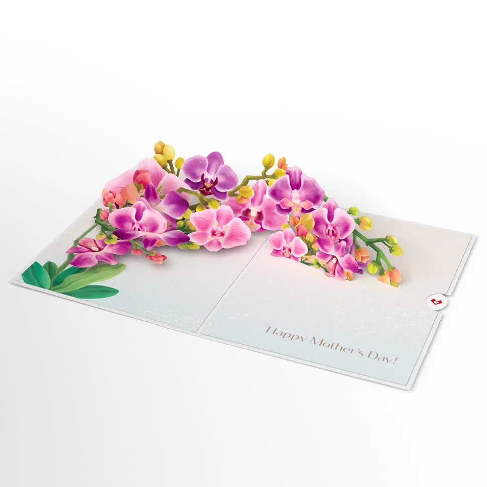 Lovepop Greeting Cards|Mother'S Day 5/11|Mother’s Day Orchid Pop-Up Card