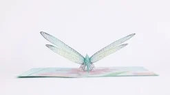 Women Lovepop Greeting Cards|International Women'S Day 3/8|Mother's Dragonfly Pop-Up Card
