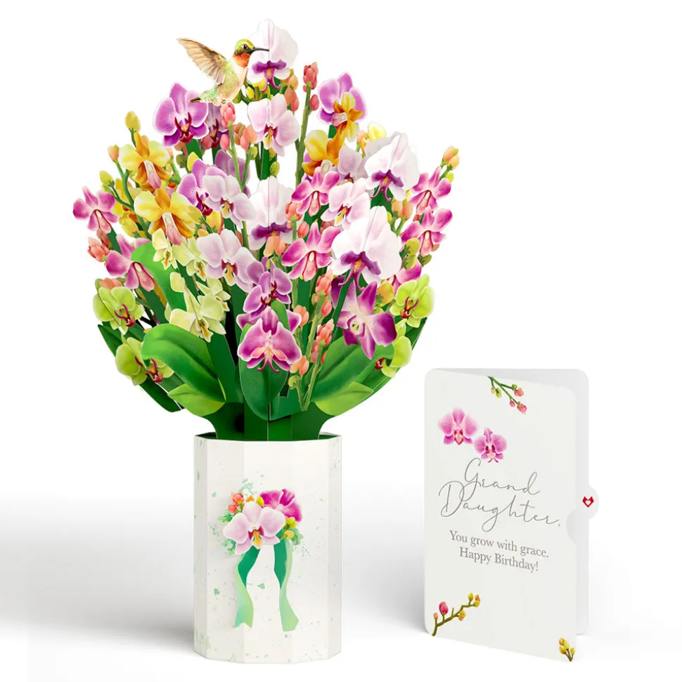 Lovepop Pop-Up Bouquets|Orchid Birthday Bouquet and Sentiment Set for Granddaughter