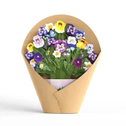 Lovepop Pop-Up Bouquets|Decor|Pansy Bouquet
