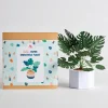 Lovepop Pop-Up Bouquets|Handcrafted Paper Flowers|Paper Monstera Plant DIY Kit