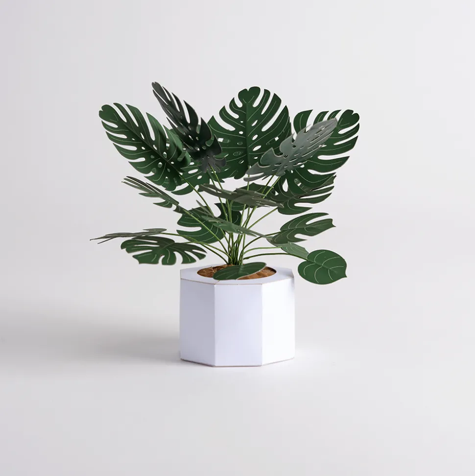 Lovepop Pop-Up Bouquets|Handcrafted Paper Flowers|Paper Monstera Plant DIY Kit