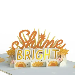Lovepop Greeting Cards|Congratulations|Shine Bright Pop-Up Card