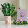 Lovepop Card & Gift Bundles|Mother'S Day 5/11|Spring Plant Bundle