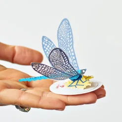 Kids Lovepop Pop-Up Stickers|Kids|Stickerpop™: Dragonfly (1-Pack)