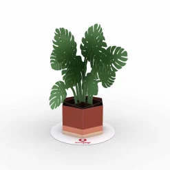 Kids Lovepop Pop-Up Stickers|Kids|Stickerpop™: Monstera (5-Pack)