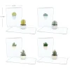 Lovepop Notecards|Just Because|Succulent Notecards (Assorted 4-Pack)