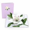 Lovepop Greeting Cards|Sympathy|Sympathy Lily Pop-Up Card