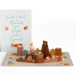 Lovepop Value Packs|Thanksgiving 11/27|Thanksgiving 3-Pack