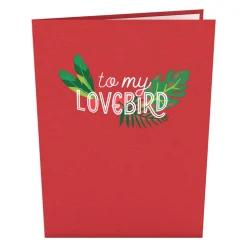 Lovepop Greeting Cards|Valentine'S Day 2/14|To My Lovebird Pop-Up Card