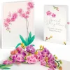 Lovepop Birthday|Watercolor Orchid Birthday Pop-Up Card and Sentiment Set for Granddaughter