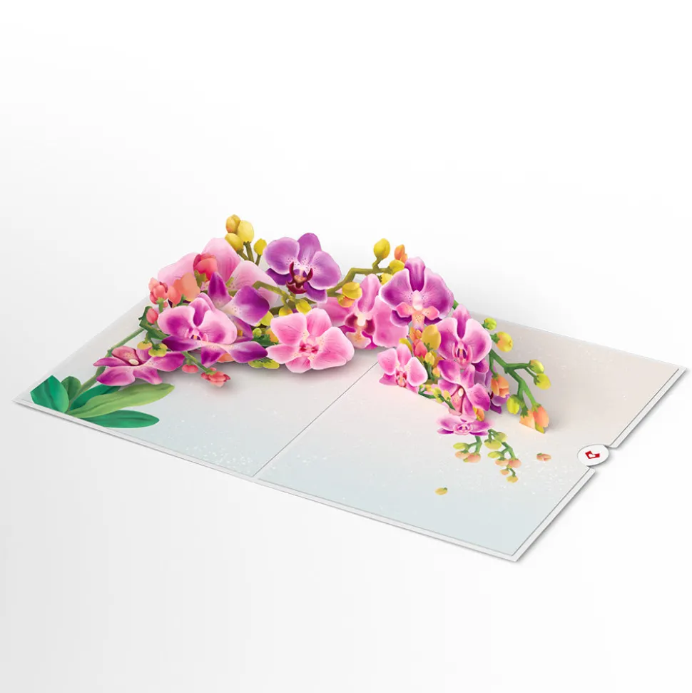 Lovepop Greeting Cards|Birthday|Watercolor Orchid Pop-Up Card